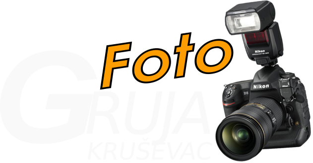 Foto Gruja Kruševac logo